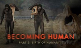 人类的进化视频,人类进化历程的视觉之旅